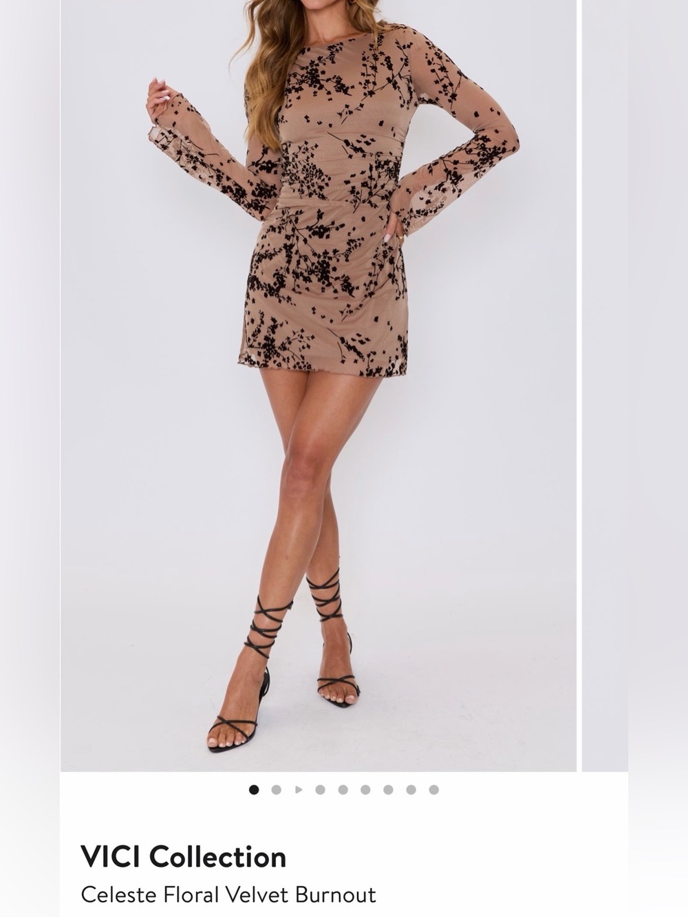 Vici Celeste Floral Burnout Mini Dress